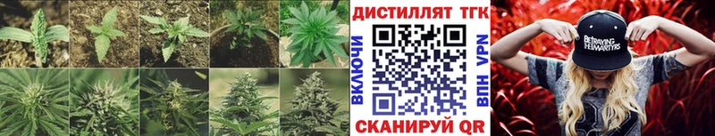 Дистиллят ТГК гашишное масло  Лакинск 